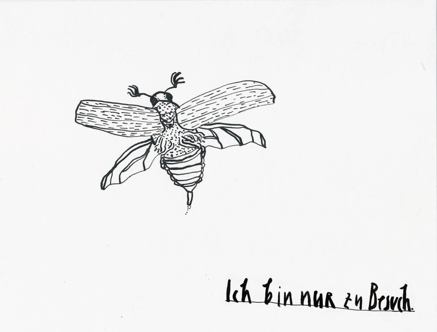 Faksimile »Ich bin nur zu Besuch.« Feder-Zeichnung Tusche Käfer Koleoptologie Maikäfer