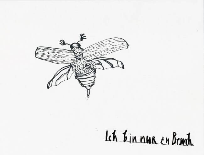 Faksimile »Ich bin nur zu Besuch.« Feder-Zeichnung Tusche Käfer Koleoptologie Maikäfer